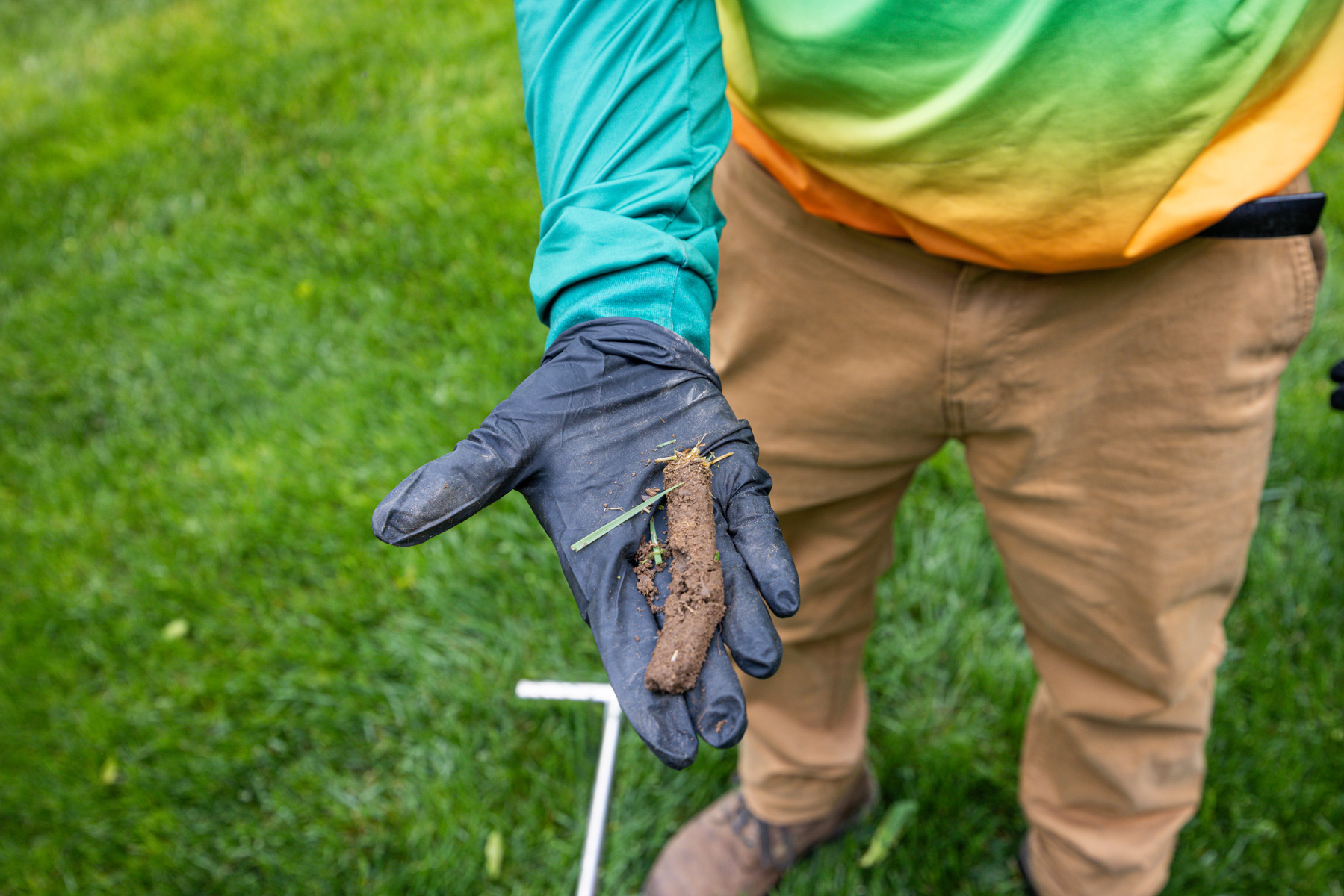 test your soil before applying lime to ensure your lawn can actually benefit