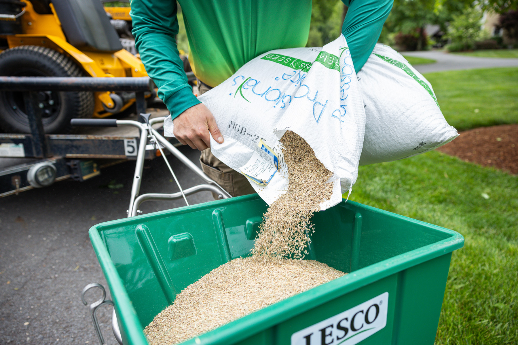 turf type tall fescue seed helps create a thicker NJ lawn