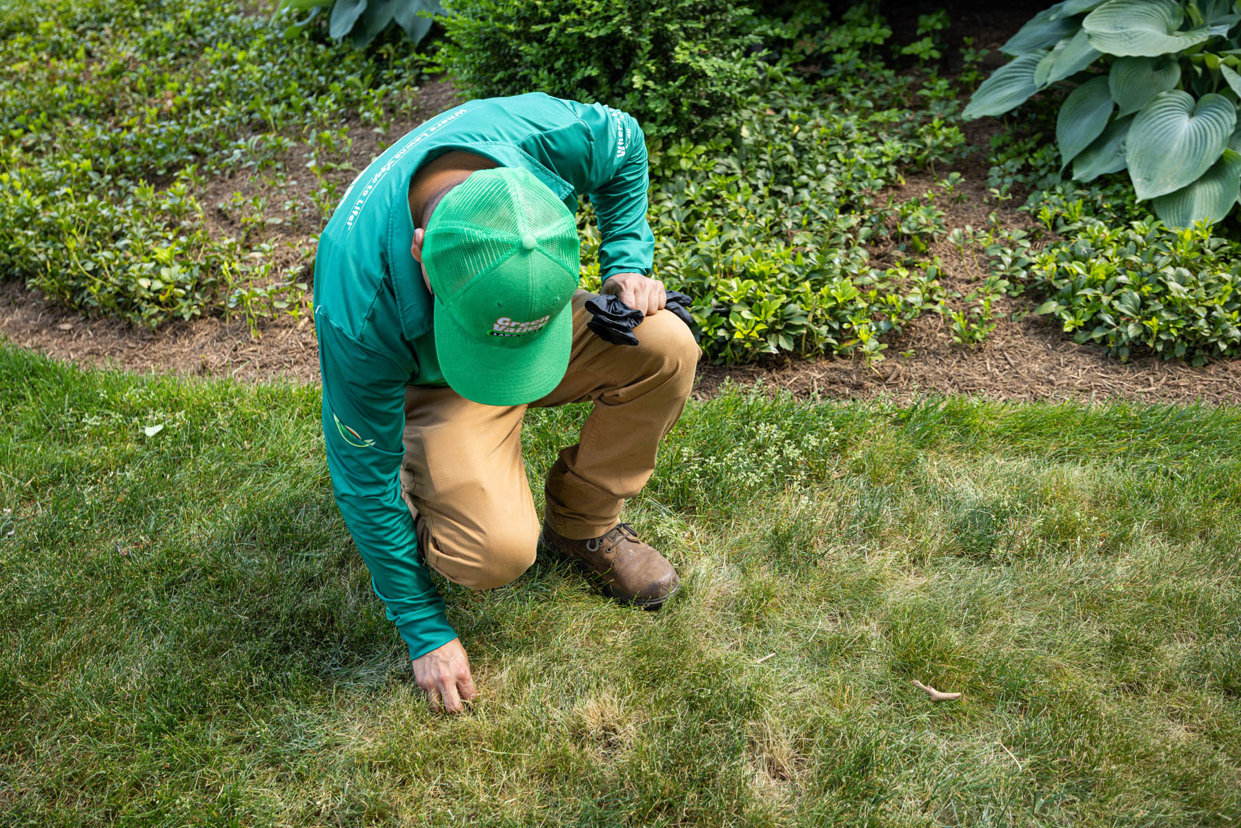 summer can leave lawns thin, patchy, and stressed