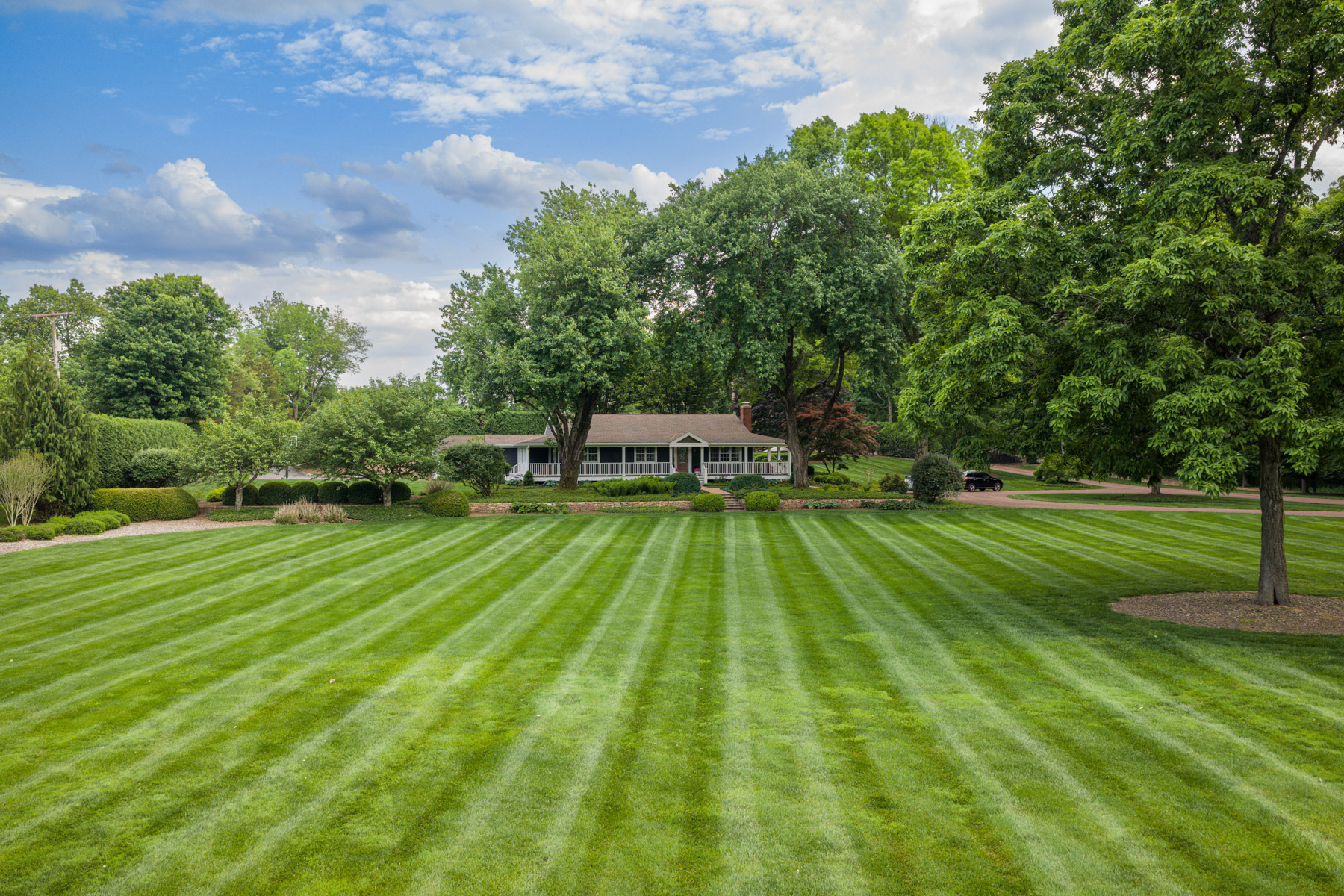 new grass seed need consistent water in order to grow into a healthy lawn